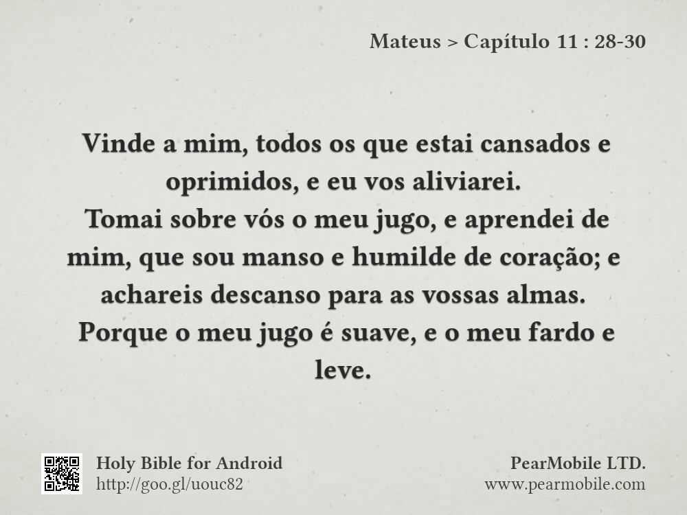 Mateus, Capítulo 11:28-30